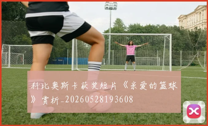 科比奥斯卡获奖短片《亲爱的篮球》赏析_20260528193608