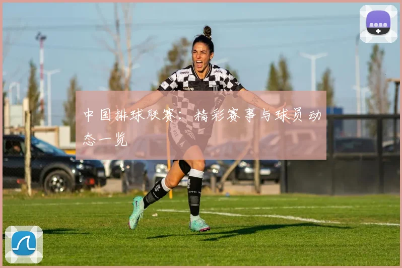 中国排球联赛:精彩赛事与球员动态一览